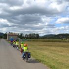 Les petits canards jaunes à la queue leu leu