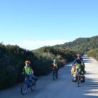 Petite route du bord de mer