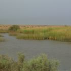 0732-Mauritanie