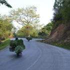 Les scooters toujours bien chargés