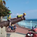 Sur le canon comme à Banyuls