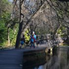 Passerlle au parc national de Krka