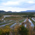 Les cultures sur iles