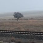 La brume se lève doucement