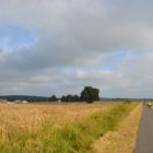 Au milieu des champs