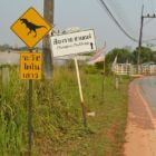 Attention Dinosaures !!!