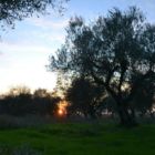 Coucher bde soleil Bis