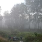 Campement dans la brume