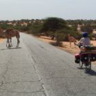 0716-Mauritanie