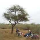0738-Mauritanie