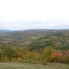 Les belles couleurs de l'automne