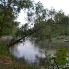 Bord de Loire pour une baignade rafraîchissante
