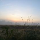 Réveil dans la brume