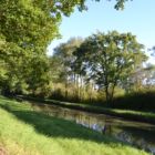 Le canal latéral à la Loire, à l'ombre