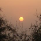 0731-Mauritanie