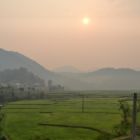 Lever de soleil sur les rizières