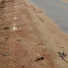 Premières traces d'éléphants