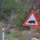 Attention cochon!!!