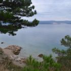 Dommage qu'elle soit un peu froide