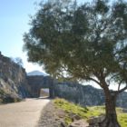 La porte des lionnes