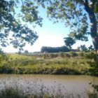 Vignes, oliviers et canal