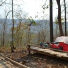 Campement près de la forêt