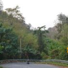 Allez il faut pousser