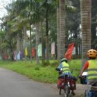 Entre drapeaux et cocotiers