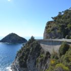 Ca grimpe mais c'est joli