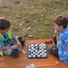 Partie d'échec entre frères