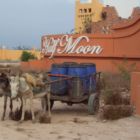 0472-Maroc-Copie