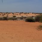 0708-Mauritanie