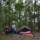 campement au milieu des bambous